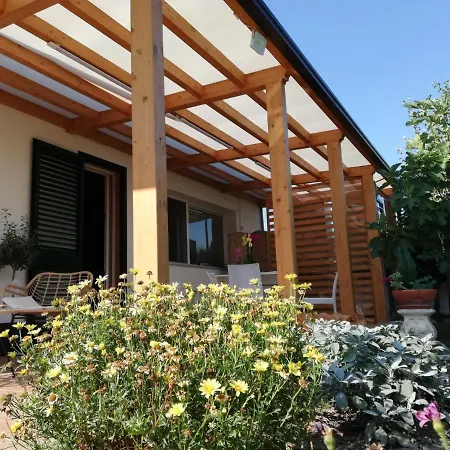 The Zigghy's Bed & Breakfast