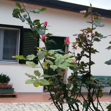 Bed & Breakfast The Zigghy's