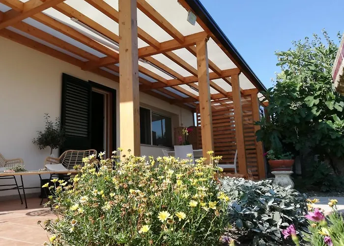 The Zigghy's לינה וארוחת בוקר